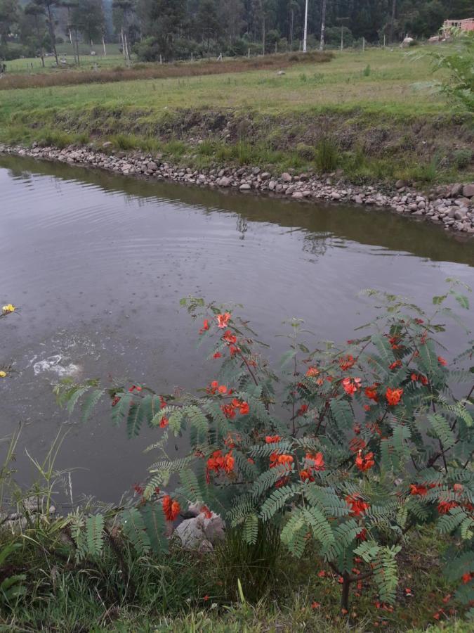 Pousada Requinte Ponto Rural Urubici Esterno foto